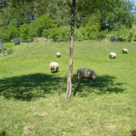 Hanuv Mlyn Homestay szállás Letny