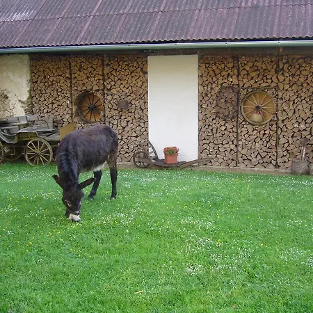 Hanuv Mlyn Homestay szállás *