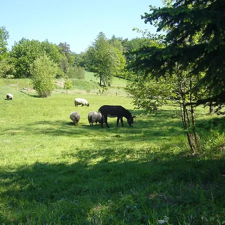 Hanuv Mlyn Homestay szállás *