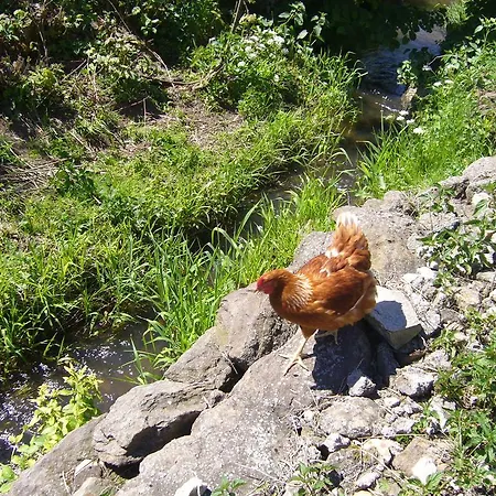 Homestay szállás Hanuv Mlyn *