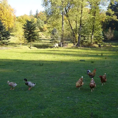 Homestay szállás Hanuv Mlyn